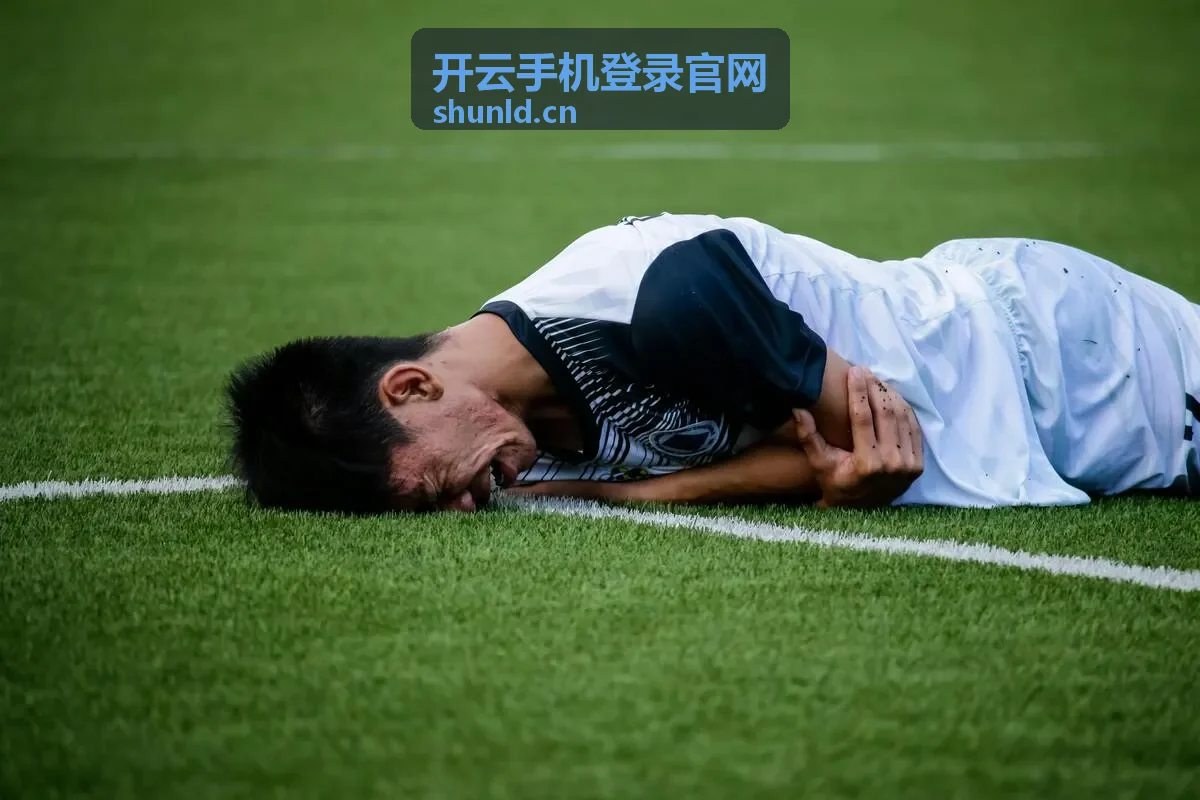 开云手机登录官网隐私数据保护功能展示