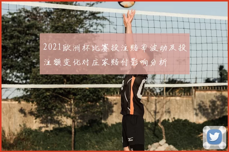 2021欧洲杯比赛投注赔率波动及投注额变化对庄家赔付影响分析