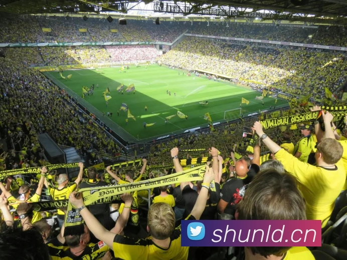 多媒体互动体验